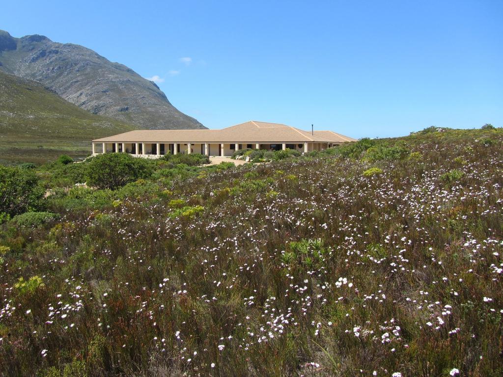 Kapensis Guesthouse Pringle Bay Exterior photo